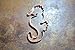 Cute Seahorse Cookie Cutter
