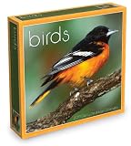 Backyard Birds 2011 Daily Desk Calendar