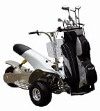 51vK aM5DML. SL160  Golf Cruiser Single Rider Electric Golf Cart GC 1 By Greentecscooters Watt 50 Mile Range Tricycle Style 1000
