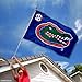 University of Florida SEC 3x5 Flag