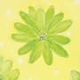 Art 4 Kids "Flower Patch" Mounted Art Print, 16"x16"
