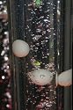1.2 Meter Ping Pong Ball Effect Insert for Bubble Columns