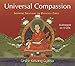 Universal Compassion: Inspiring Solutions for Difficult Times