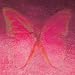 Lente by Louisa Red Butterfly Fine Art Print / Poster 11.75 x 11.75 in.