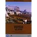 Western Collection (3 Dvd)