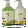 Mango Lime Tropical Fruits Caddy with Anti Bacterial Soap and Lotion
