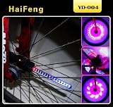 Bicycle Light