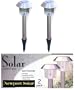 12 Stainless Steel Solar Landscape Lights Lightings 2 LEDs Advanced Store. No Bonus included.