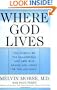 Where God Lives: The Science of the Paranormal and How Our Brains are Linked to the Universe