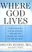 Where God Lives: The Science of the Paranormal and How Our Brains Are Linked to the Universe