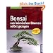 Bonsai aus heimischen B�umen selbst gezogen
