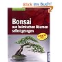 Bonsai aus heimischen B�umen selbst gezogen