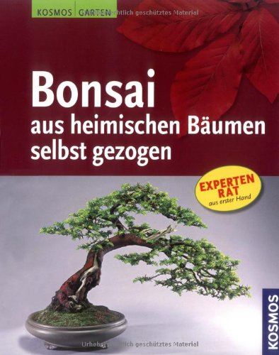 Bonsai aus heimischen Bäumen selbst gezogen