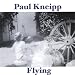 Flying