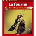 La fourmi : Travailleuse infatigable