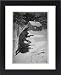 Framed Prints of Werewolf Returning Home from Mary Evans