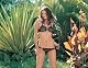 Online 2Pc Mesh Flocked Heart Vintage Halter Top And Full Back Bikini Bottom With Velvet Trim And Rhinestone Heart Buckles Unparalleled