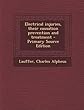 Electrical Injuries, Their Causation Prevention and Treatment - Primary Source Edition