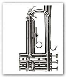 Trumpet by Michel Ditlove 11"x14" Art Print Poster