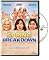 Spring Breakdown