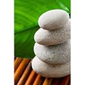 Zen Garden Gallery Wrapped Canvas - 12x16"