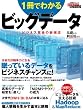1冊でわかる ビッグデータ (日経BPムック)