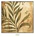 Dual Tonalities I Art Poster Print by Elizabeth Jardine, 13x14