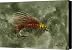A Better Stimi Canvas Print / Canvas Art - Artist Sean Seal