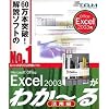 Microsoft Office Excel 2003が わか~る(活用編)