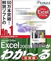 Microsoft Office Excel 2003が わか~る(活用編)