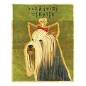 Yorkshire Terrier framed print - John Golden 12x15
