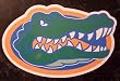 Florida Gators Team Logo NCAA Car Magnet