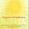 Image of album by Splendor of Meditation