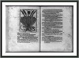 Historic Print (S): [Plantain shown with snake and scorpion to indicate plant is antidote for their bites an