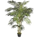 Potted Deluxe Reed Faux Palm Tree - 6'