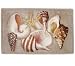 Expressions Sea Breeze Rug