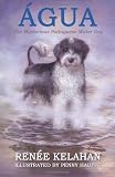 Agua, the Mysterious Portuguese Water Dog