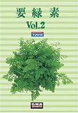 要緑素 Vol.2 CD-ROM素材集