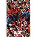 Marvel Heroes Movie (Spider-Man Collage) Poster Print - 22x34 Comic Poster Print, 22x34