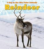 Reindeer (Heinemann Read and Learn)