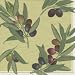 Kitchen & Housewares : Caspari Olives Braches Set of 20 Paper Cocktail Napkin in Gift Box, Sage