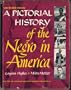 A Pictorial History of the Negro in America