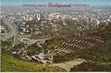 Greetings from Hollywood California Postcard