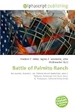 Battle of Palmito Ranch: Rio Grande, Robert E. Lee, Palmito Ranch Battlefield, John J. Williams (American Civil War), Jerry  D. Thompson, Edmund Kirby Smith