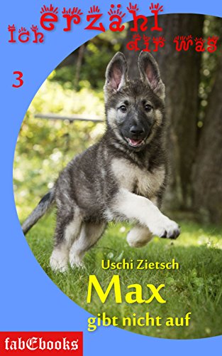 Ich erzähl dir was 3: Max gibt nicht auf (German Edition)
