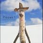 Piezas V.1
