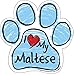 Imagine This Scribble Paw Magnet, Maltese