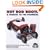 Hot Rod Roots: A Tribute to the Pioneers