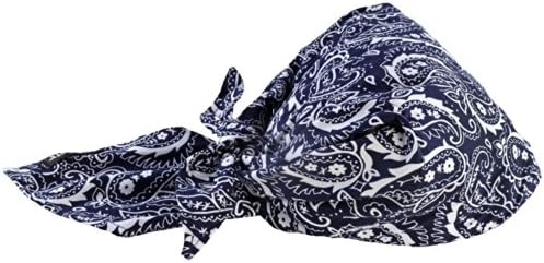 Ergodyne 6710ct cooling triangle/towel