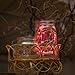 KW-Light Micro LED 20 Red Color Lights Battery Operated on 7ft Long Silver Color Ultra Thin String Wire